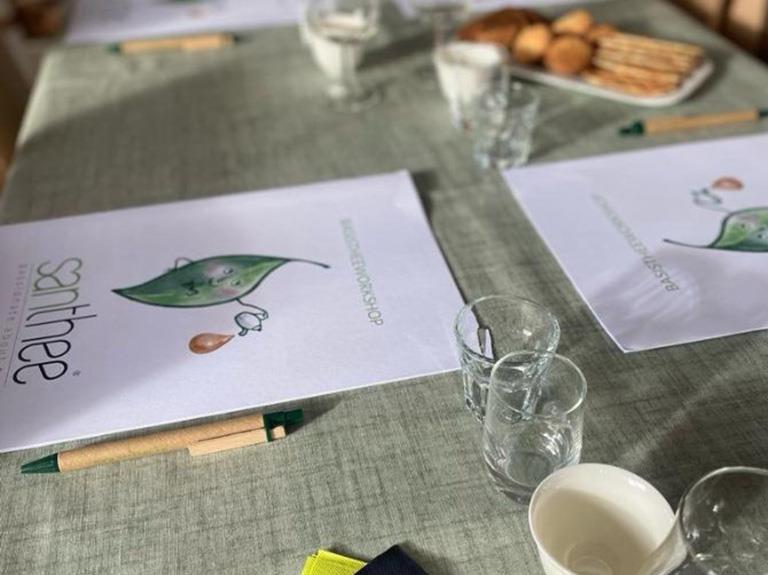 Basis Theeworkshop bij Santhee (VOL, besloten groep)