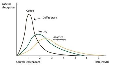 opname van cafeïne in het lichaam